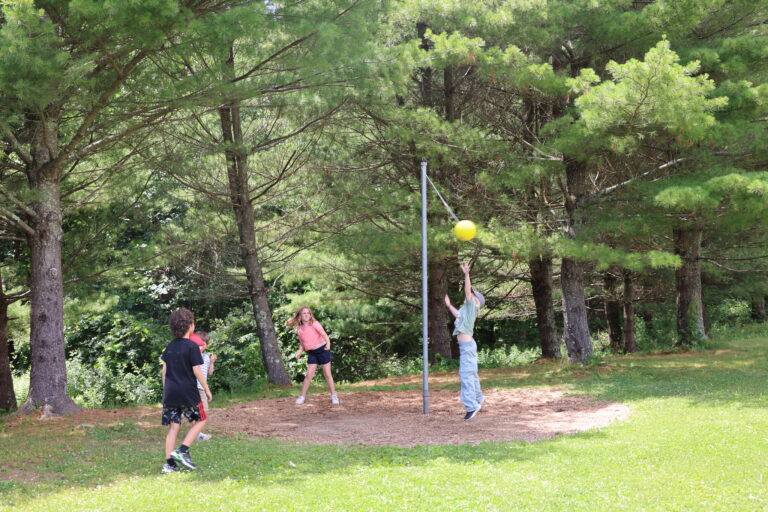 53820495817_226eeee43d_o