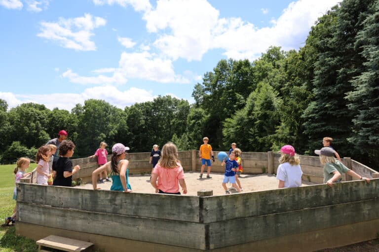 53821412276_d538427532_o