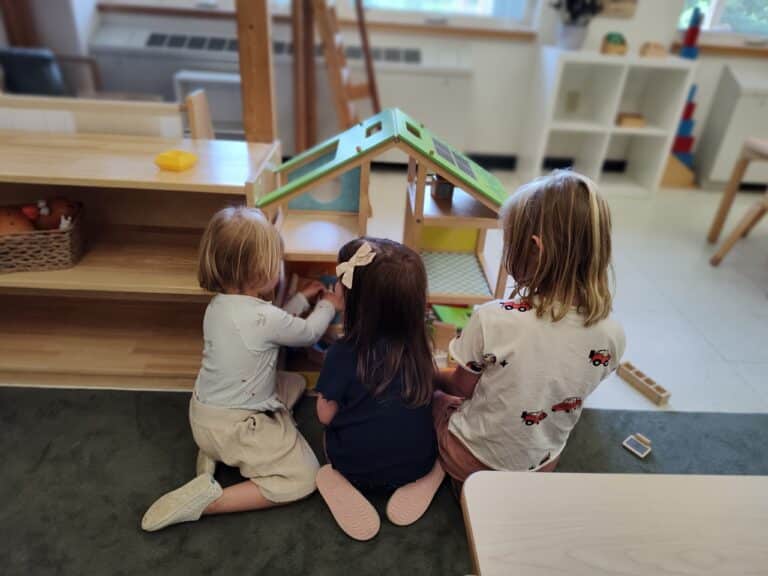 53821414676_188cbc5c58_o