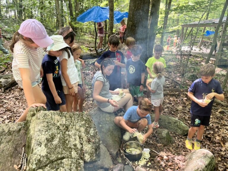 53821851785_26fc603224_o