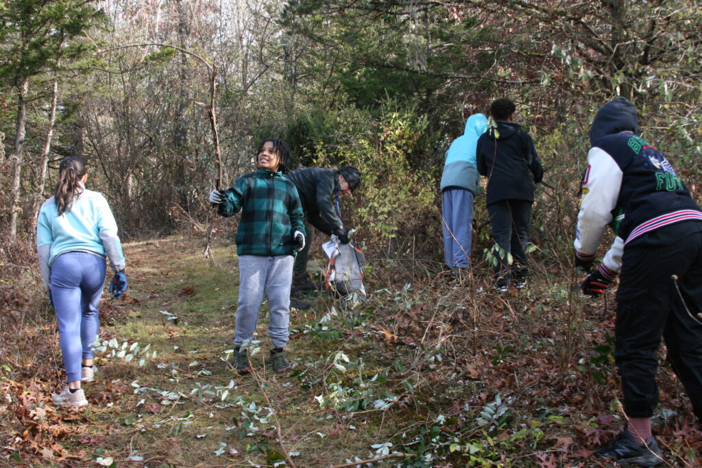Middle school students help maintain the Cobble Brook Preserve.