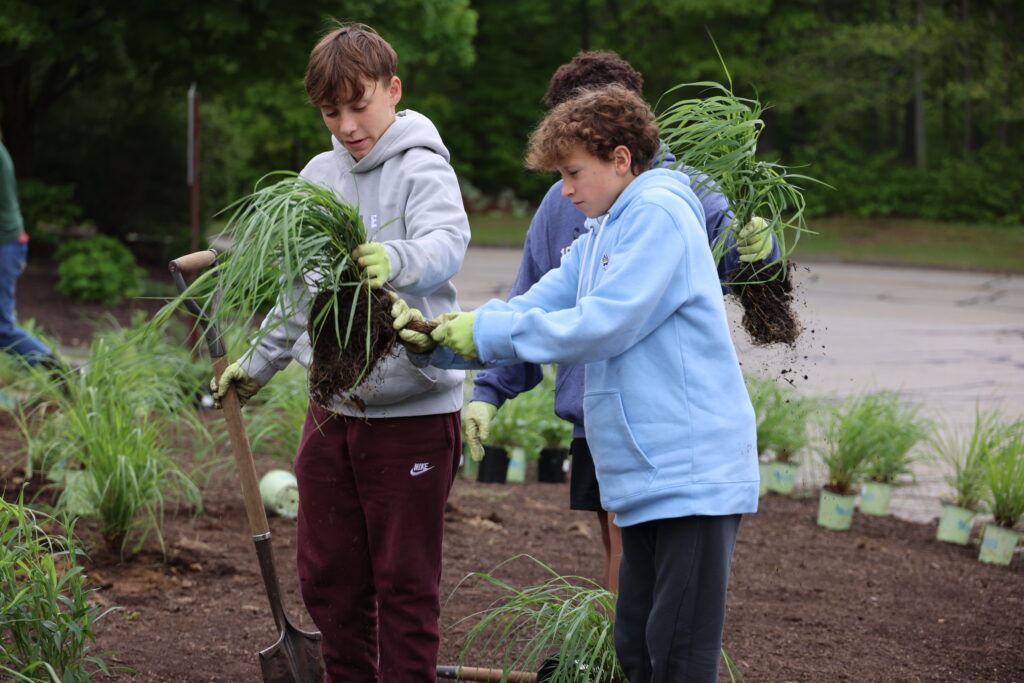 Students help with our native planting project.
