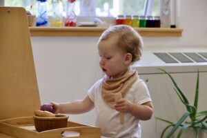 A young child engaged in purposeful, independent work.