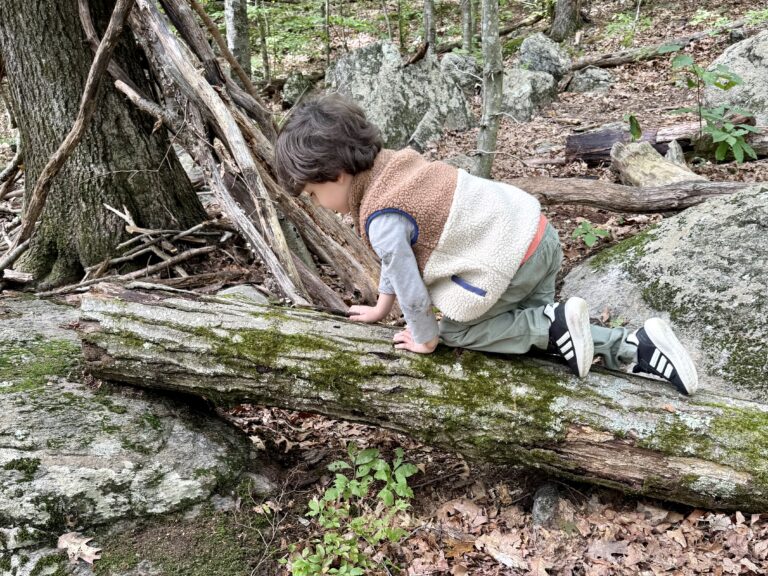 A child crawls across a log
